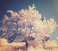 短信轰在线轰炸免费网站